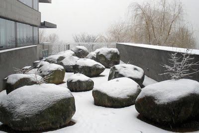 El jardín que crece en piedras El jardín que crece en piedras