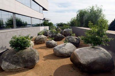 El jardín que crece en piedras El jardín que crece en piedras