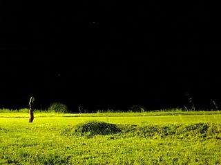 :: Malvina Rodriguez :: :: Malvina Rodriguez ::