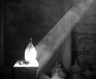 :: Malvina Rodriguez :: :: Malvina Rodriguez ::