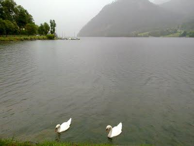La región de Salzkammergut; recorriendo sus pueblos más típicos La región de Salzkammergut; recorriendo sus pueblos más típicos