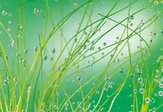 Sumisión #Tao Sumisión #Tao