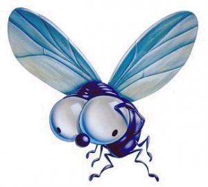 ¿Puede una “simple mosca” ayudarnos a cambiar nuestro negocio?