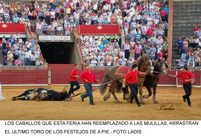 FERIA DE CORDOBA 6ª DE ABONO: CUANDO HAY TORO NO HAY TOREROS FERIA DE CORDOBA 6ª DE ABONO: CUANDO HAY TORO NO HAY TOREROS