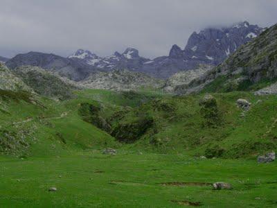 l'altiquera l'altiquera