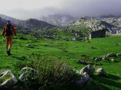 l'altiquera l'altiquera