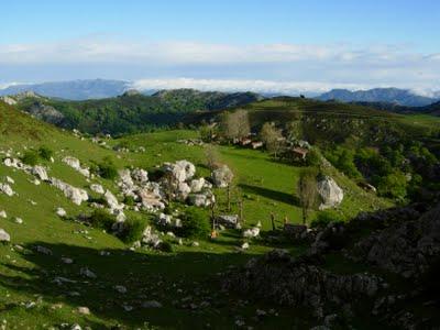 l'altiquera l'altiquera