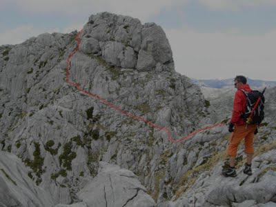 l'altiquera l'altiquera