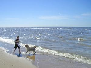 zandvoort