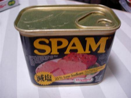 Monty Python y el spam