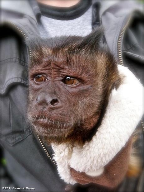 We Bought A Zoo 1 We Bought A Zoo 1