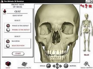 The Ultimate 3D Skeleton CD-ROOM - Dorling Kindersley