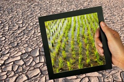 La disonancia cognitiva: una realidad coherente La disonancia cognitiva: una realidad coherente