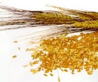 REMEDIOS NATURALES PARA HACER UNA LIMPIEZA DE CUTIS EN CASA REMEDIOS NATURALES PARA HACER UNA LIMPIEZA DE CUTIS EN CASA