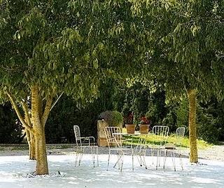 ¡¡Por fin llega el verano!! ¡¡Por fin llega el verano!!