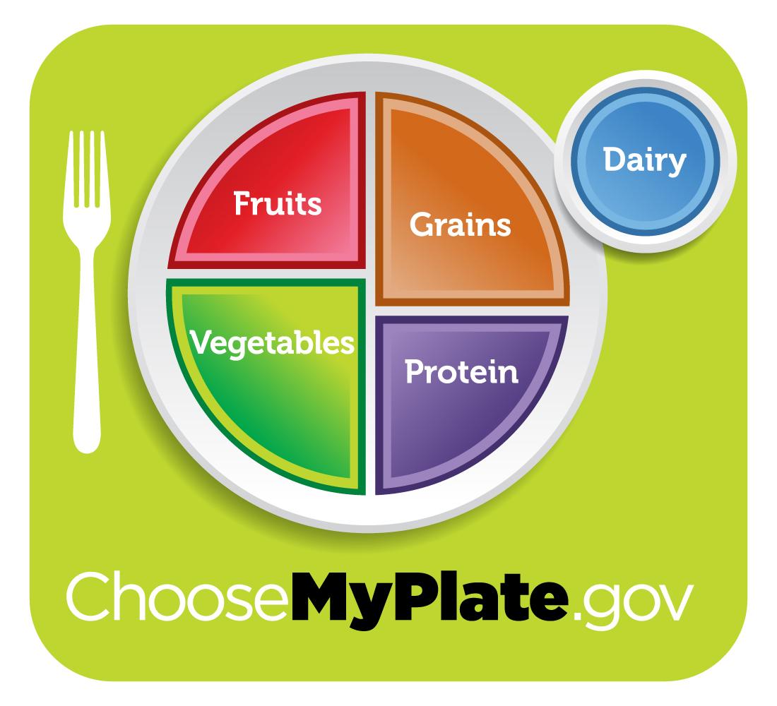 My Plate: nueva guía alimenticia de Estados Unidos