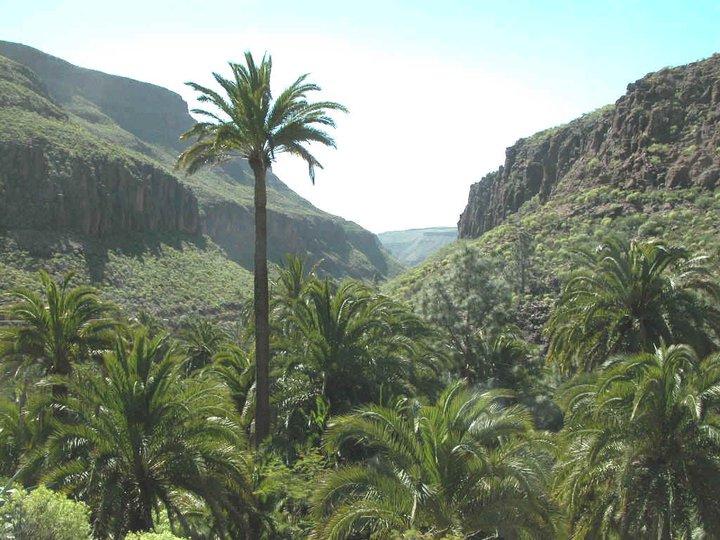 Rutas de senderismo por Gran Canaria