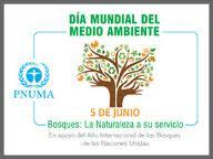 Día Mundial del Medio Ambiente Día Mundial del Medio Ambiente