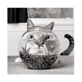 ¿Son Constructivos tus pensamientos? ¿Son Constructivos tus pensamientos?