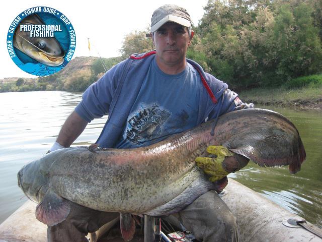 siluro-catfish PESCADORES DE SORIA