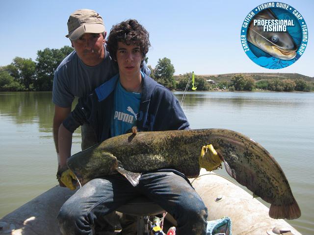 CATFISH-SILURO PESCADORES DE SORIA