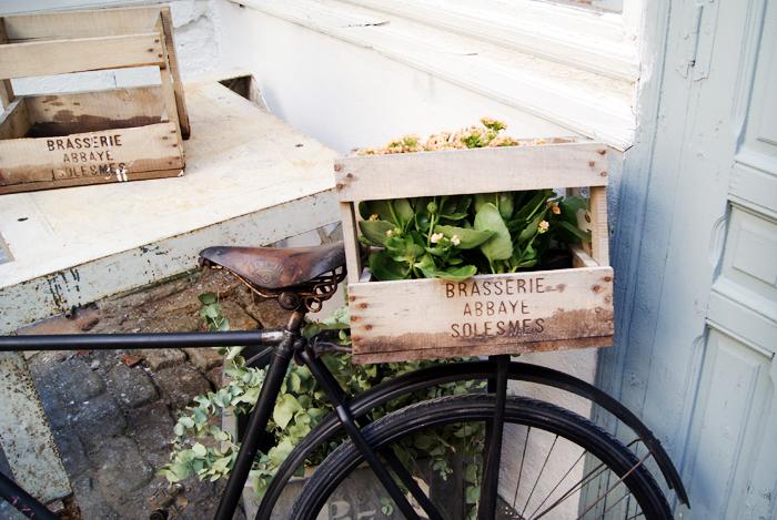 The X Top Photobucket