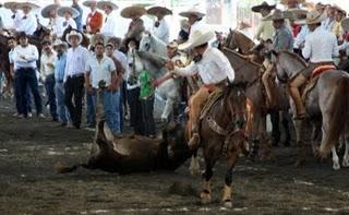 Se mantiene excelente Rancho Las Cruces, pero…