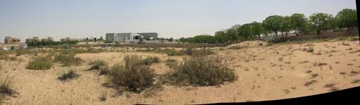 A-cero Projects Paisajismo A-cero para un Villa en Emiratos Arabes