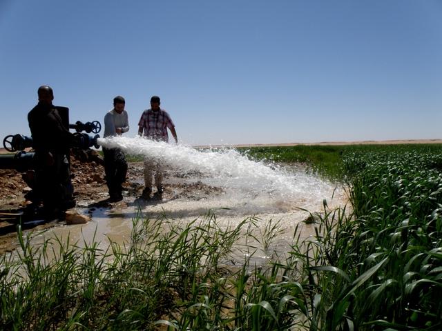 * 2011 ARGELIA * 2011 ARGELIA