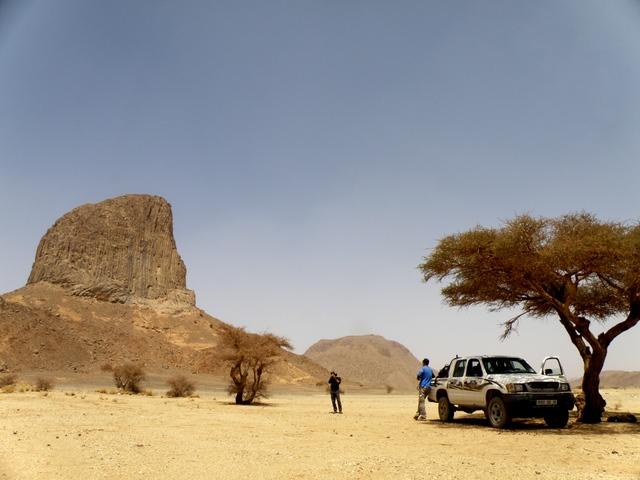 * 2011 ARGELIA * 2011 ARGELIA