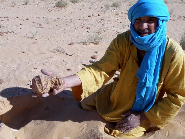 * 2011 ARGELIA * 2011 ARGELIA