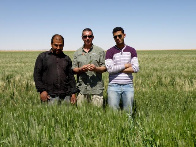 * 2011 ARGELIA * 2011 ARGELIA