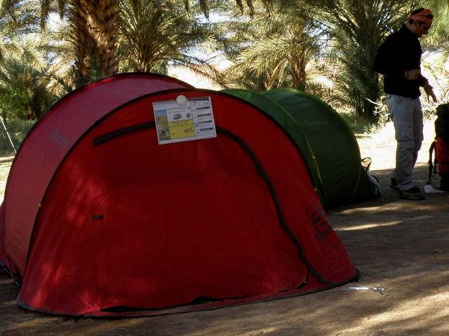 * 2011 ARGELIA * 2011 ARGELIA