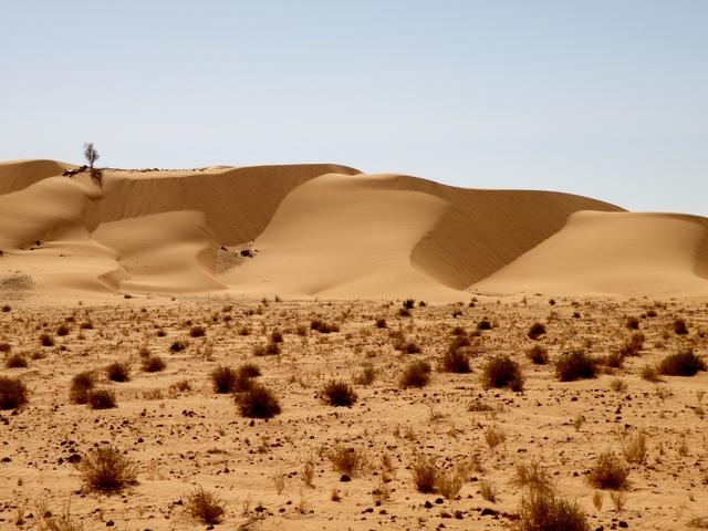 * 2011 ARGELIA * 2011 ARGELIA