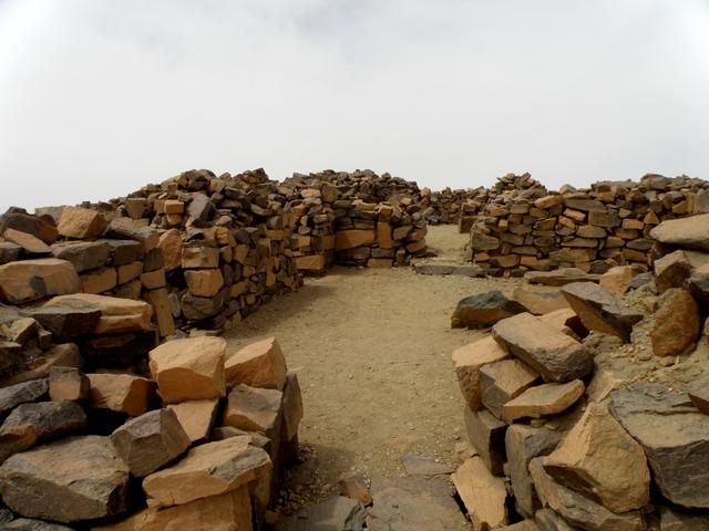 * 2011 ARGELIA * 2011 ARGELIA