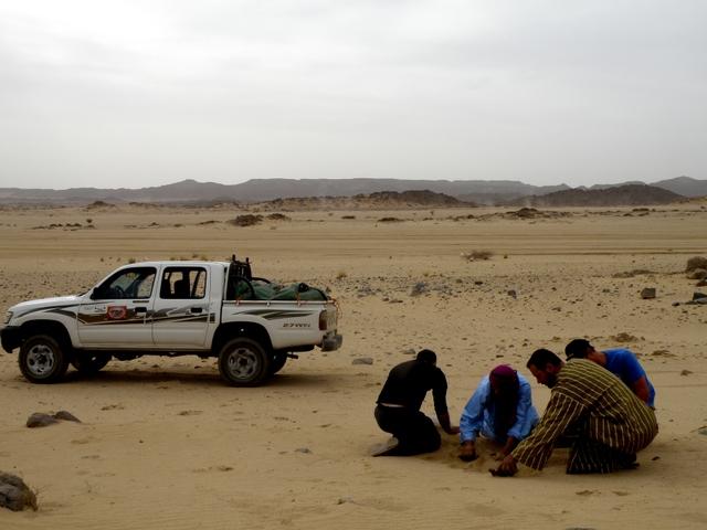 * 2011 ARGELIA * 2011 ARGELIA