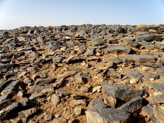 * 2011 ARGELIA * 2011 ARGELIA