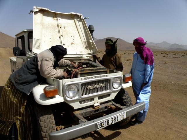 * 2011 ARGELIA * 2011 ARGELIA