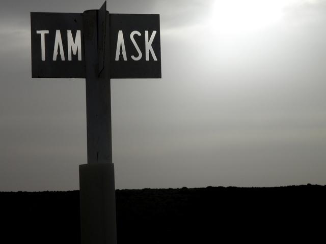 * 2011 ARGELIA * 2011 ARGELIA