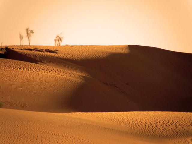 * 2011 ARGELIA * 2011 ARGELIA