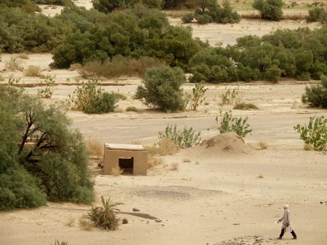 * 2011 ARGELIA * 2011 ARGELIA