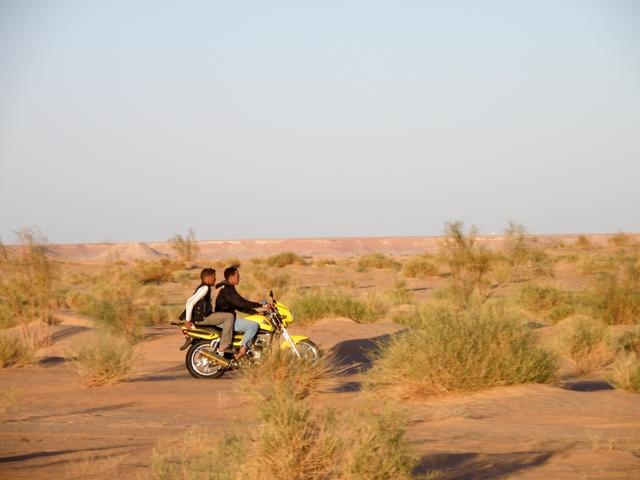 * 2011 ARGELIA * 2011 ARGELIA