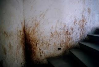 Niccolò Fano Niccolò Fano