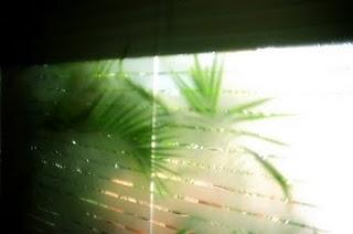 Niccolò Fano Niccolò Fano