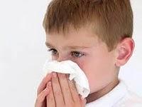Moho relacionado con alergias y asma infantil