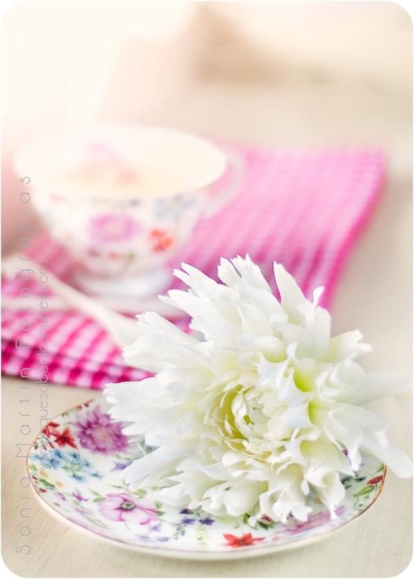 06062011-06062011-_DSC0037-Editar-Editar Still Life: Instrucciones de uso