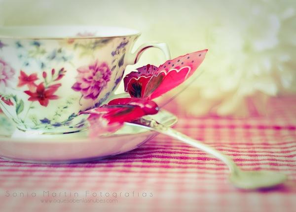 02062011-02062011-_DSC0122-Editar Still Life: Instrucciones de uso