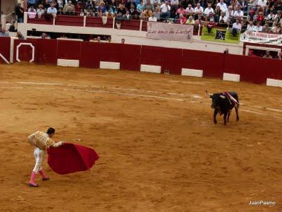 Entre el aburrimiento y el sentimentalismo Entre el aburrimiento y el sentimentalismo