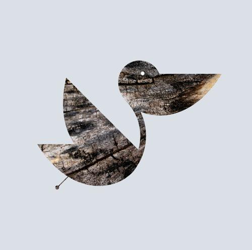 Scott Wise Scott Wise