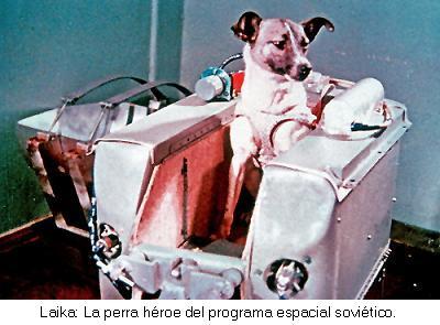 Animales astronautas Animales astronautas